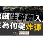 百萬噸的生雞糞入農田  黃金為何變炸彈  資料來源：上下游新聞